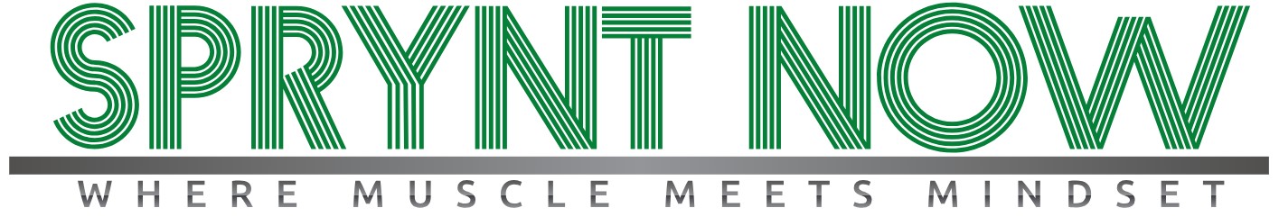 Sprynt Now Logo